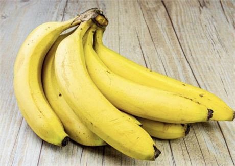 Banana Plant “Grand Nain”
