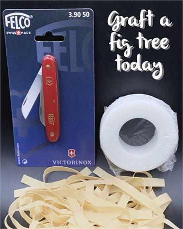 figBid Exclusive Fig Grafting Kit - FELCO Knife, 1/2" Parafilm®, Budding Rubbers
