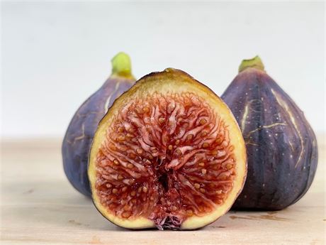 Figbid - Online Auctions Of Fig Trees, Fig Cuttings & Growing Supplies 