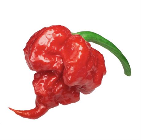 Carolina Reaper Pepper Seeds - 2.2M SHU - The HOTTEST pepper in the world!!